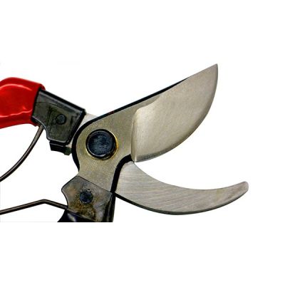 Професионална подрязваща кована ножица Tenju 200 - 200 mm
